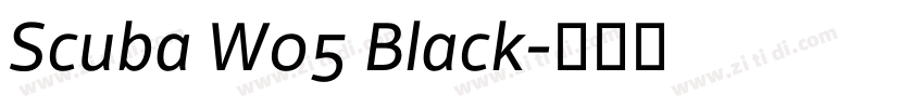 Scuba W05 Black字体转换